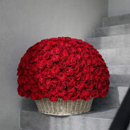 Large dome of red roses in a woven basket on stairs