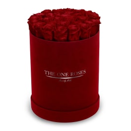 Red roses arranged in a round red box