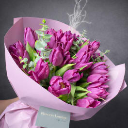 Bouquet of magenta tulips wrapped in pink paper