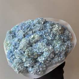 Large bouquet of pale blue hydrangeas wrapped in white paper