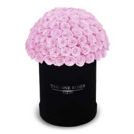 Pink roses arranged in a black cylindrical box