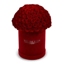 Large dome of red roses in a red round box