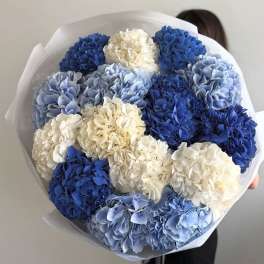 Bouquet of blue and white hydrangeas wrapped in white paper