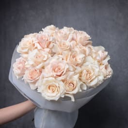 Large bouquet of pale blush roses wrapped in white translucent paper against a gray background