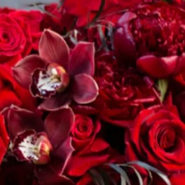 Red roses with dark burgundy orchids in a close-up bouquet