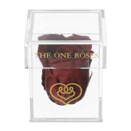 Single preserved red rose in a clear acrylic box
