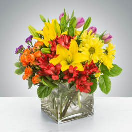 Bright mixed bouquet of yellow lilies, daisies, red and orange blooms in a clear glass cube vase