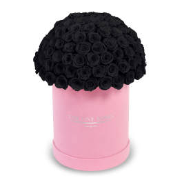 Black roses arranged in a pink cylindrical box