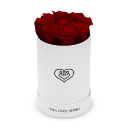 Red roses arranged in a white cylindrical box