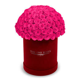 Hot pink roses arranged in a red round box