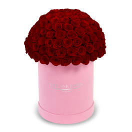 Large dome of red roses in a pink round box
