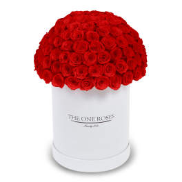 Red roses arranged in a white cylindrical box