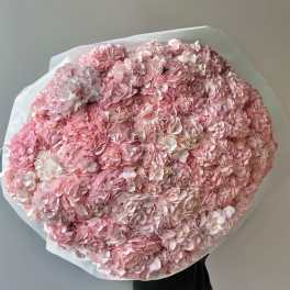 Large round bouquet of pale pink hydrangeas wrapped in white paper