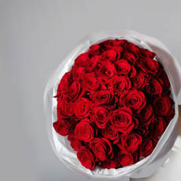 Bouquet of red roses wrapped in white paper