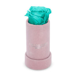 Single turquoise rose in a pink cylindrical box