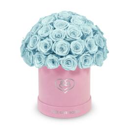 Blue roses arranged in a pink round box