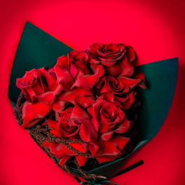 Bouquet of red roses wrapped in dark paper