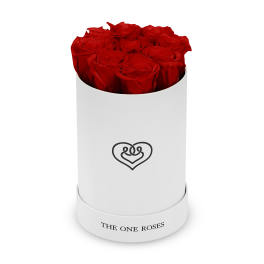 Red roses in a white cylindrical box
