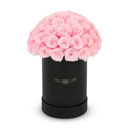 Pink roses arranged in a black cylindrical box