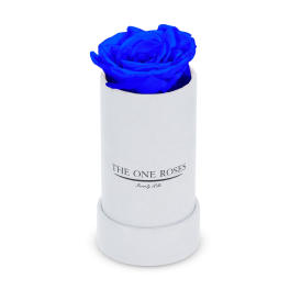 Single blue rose in a white cylindrical box