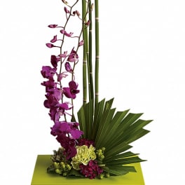Purple orchids with bamboo stalks in a green container