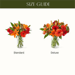 Two orange and red flower arrangements in clear glass vases labeled Standard and Deluxe