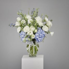 White roses and blue hydrangeas in a glass vase with a ribbon