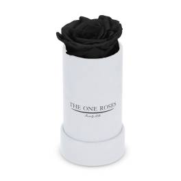 Single black rose in a white cylindrical box