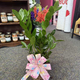 Potted green plant in a basket with a pink ribbon bow