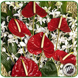 Red anthuriums and white orchids in a woven basket