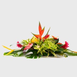 Tropical floral arrangement with orange bird-of-paradise and red blooms