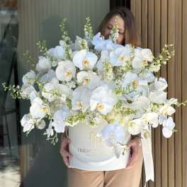 Large white orchid arrangement in a round hatbox