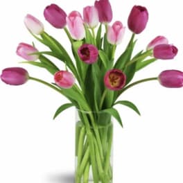 Pink tulips arranged in a clear glass vase