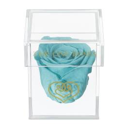 Single turquoise rose in a clear display box