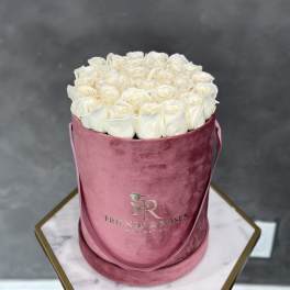 White roses arranged in a pink velvet hat box