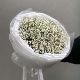 Bouquet of small white baby's breath flowers wrapped in white paper