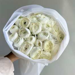 Bouquet of white ranunculus wrapped in white paper