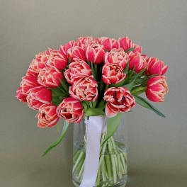 #26 Double Tulips in a Vase