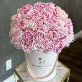 Pink peonies arranged in a white hat box