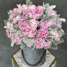 Pink peonies arranged in a gray hatbox with silvery foliage