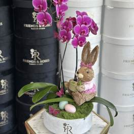 Potted orchid arrangement with a straw bunny and pastel eggs