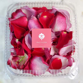 Clear plastic box filled with red and pink rose petals