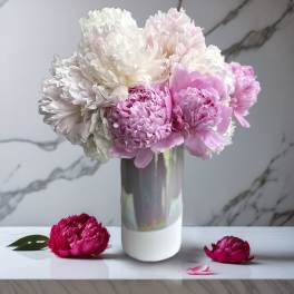 Pink and white peonies arranged in a tall vase
