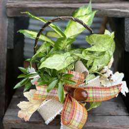 Small decorative basket with green foliage and plaid ribbon accents