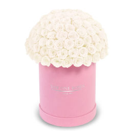 White roses arranged in a pink round box