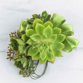 Succulent Corsage by BloomNation™
