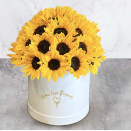 Sunflowers white Box