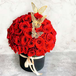 Black Box- Red Roses Butterfly