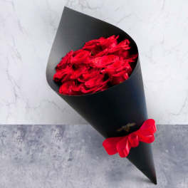 Cone Of Red Roses