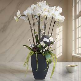 Tall white orchid arrangement in a black vase